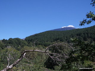 Monte Gallobianco